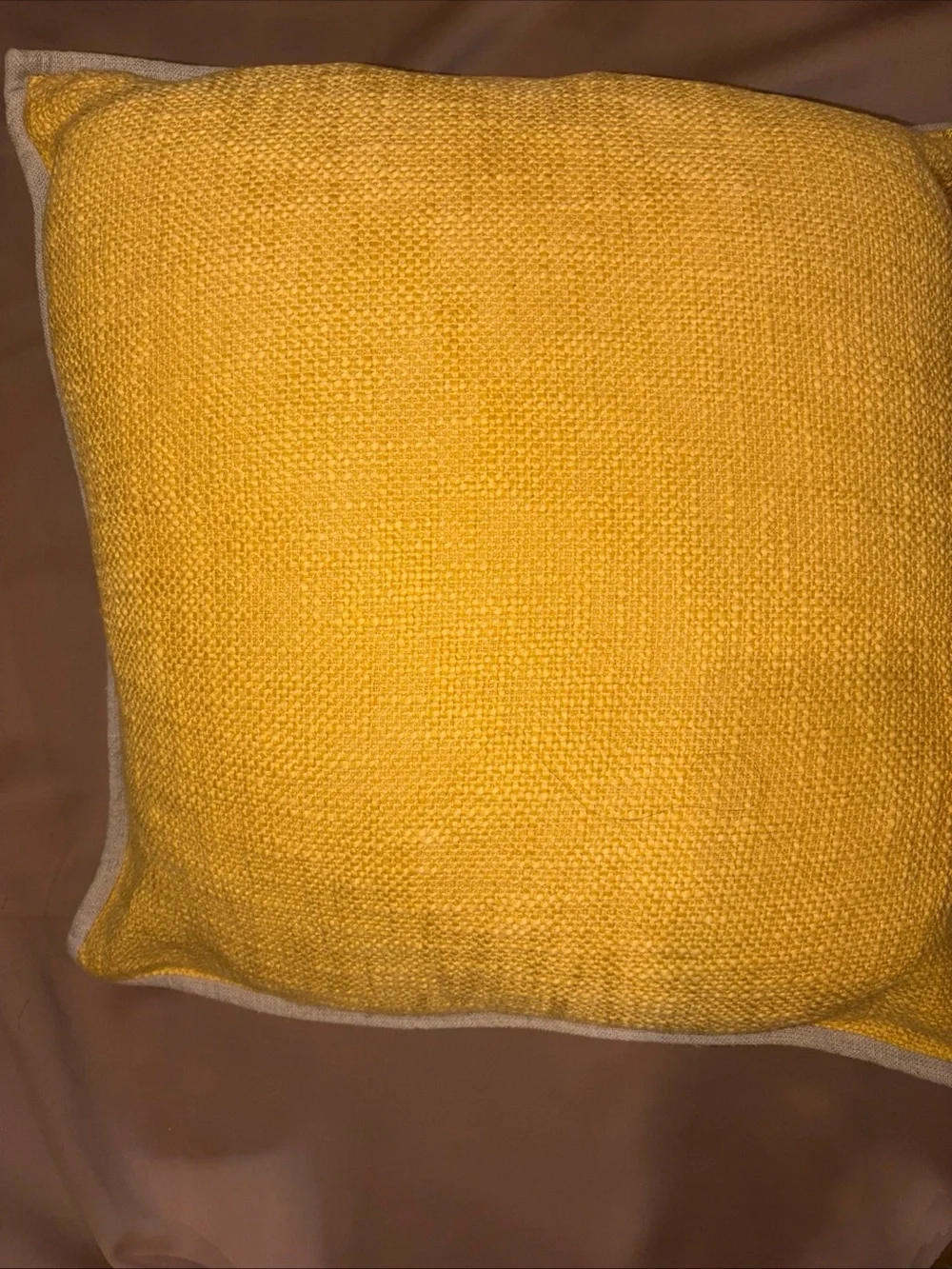 Pottery Barn Throw Pillow Cotton Yellow Duck 20x20